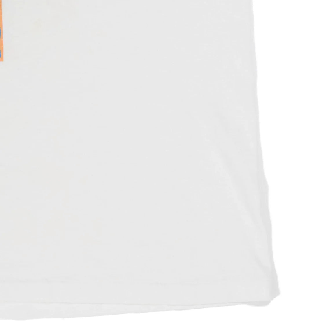 90s「Hanes」Chameleon T-shirt|1990年代「ヘインズ」カメレオンTシャツ